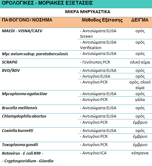 ΕΞΕΤΑΣΕΙΣ